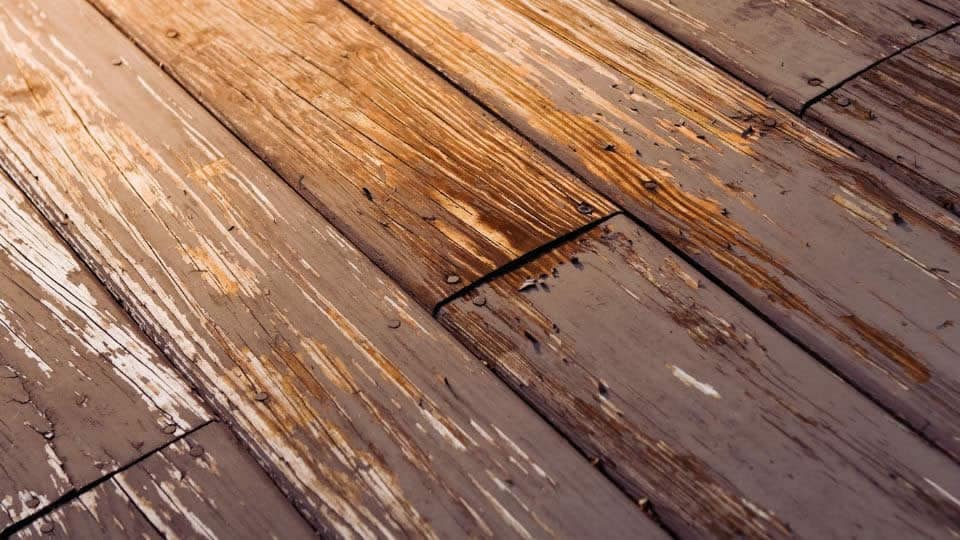 Raleigh nc deck restoration staining near me